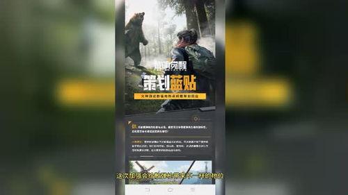 黎明更新最新爆料视频大全,揭秘幕后故事与精彩瞬间