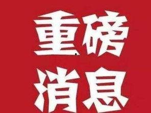 最新大消息爆料,最新大消息震撼来袭，行业变革即将开启！