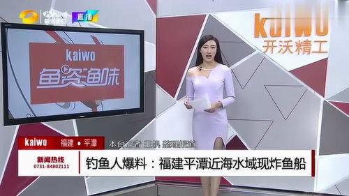 钓鱼爆料视频最新大全下载,最新钓鱼技巧与精彩瞬间大盘点