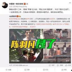 卓伟最新爆料白鹿视频下载,白鹿视频下载事件真相揭秘